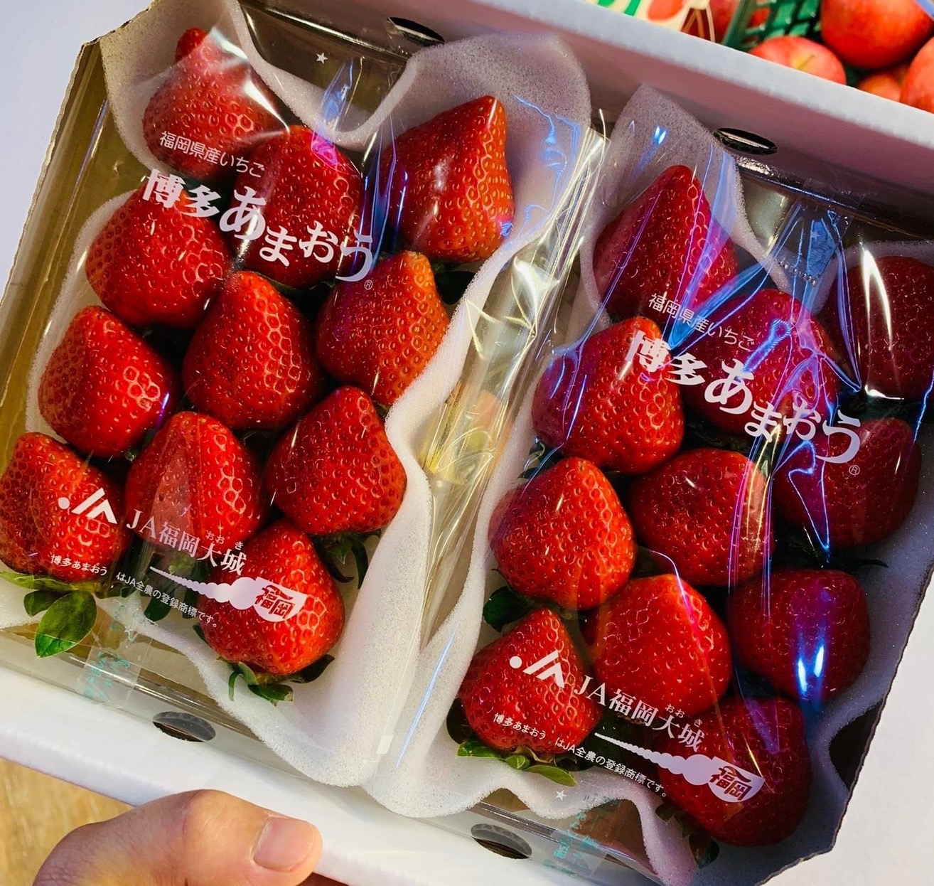 福岡博多草莓02